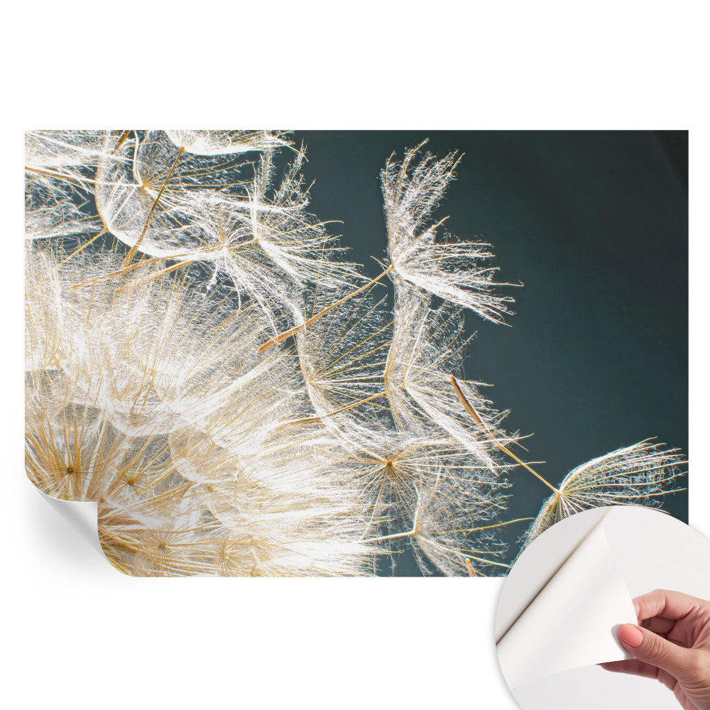 Samolepicí fotografická tapeta Pampeliška lehkosti