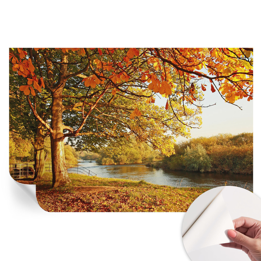 Moderní fototapeta do obývacího pokoje Podzim na pobřeží