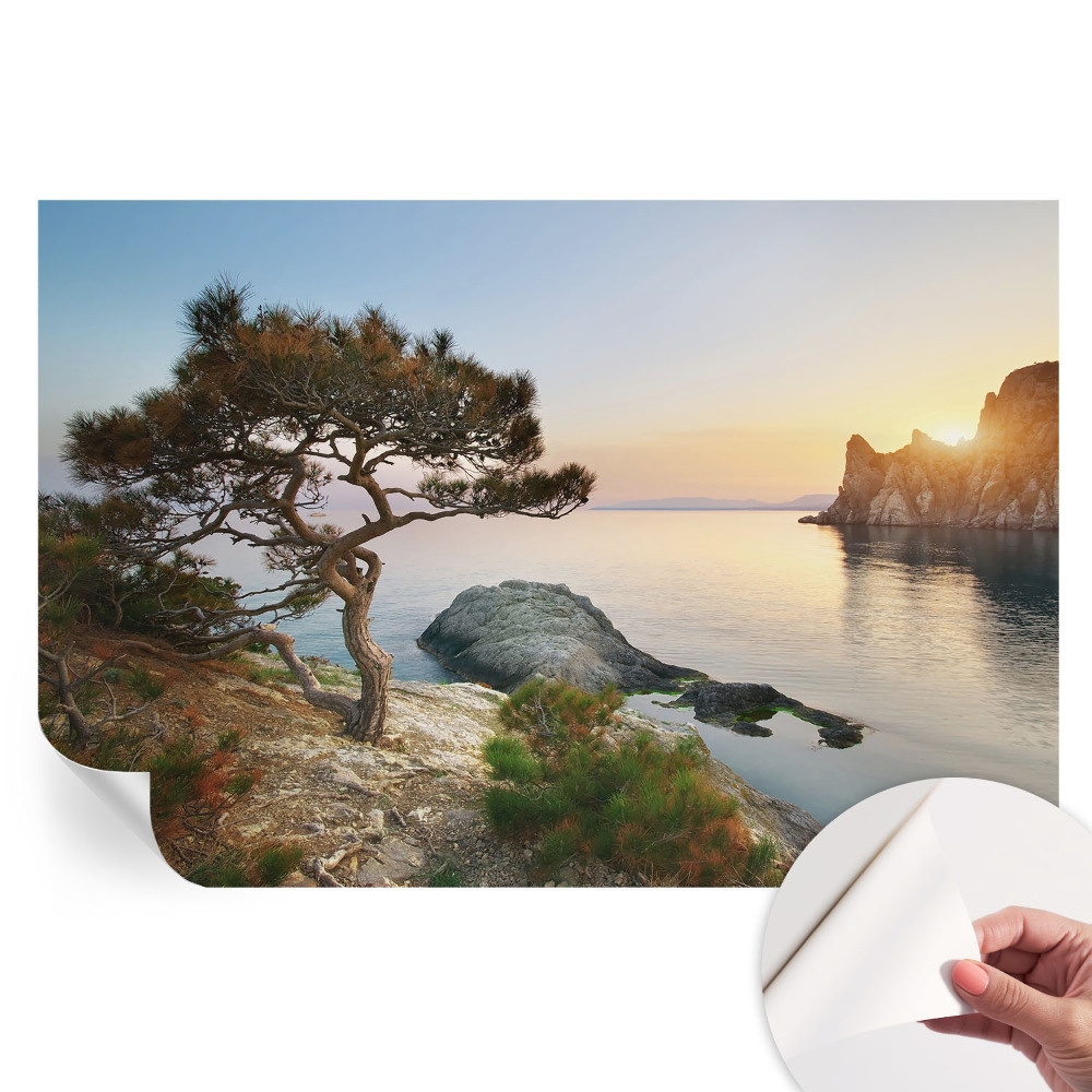 Samolepicí fotografická tapeta Klidná příroda