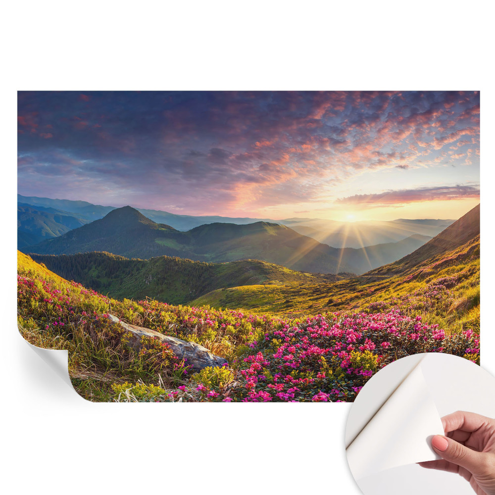 Samolepicí tapeta do obývacího pokoje Horské panorama