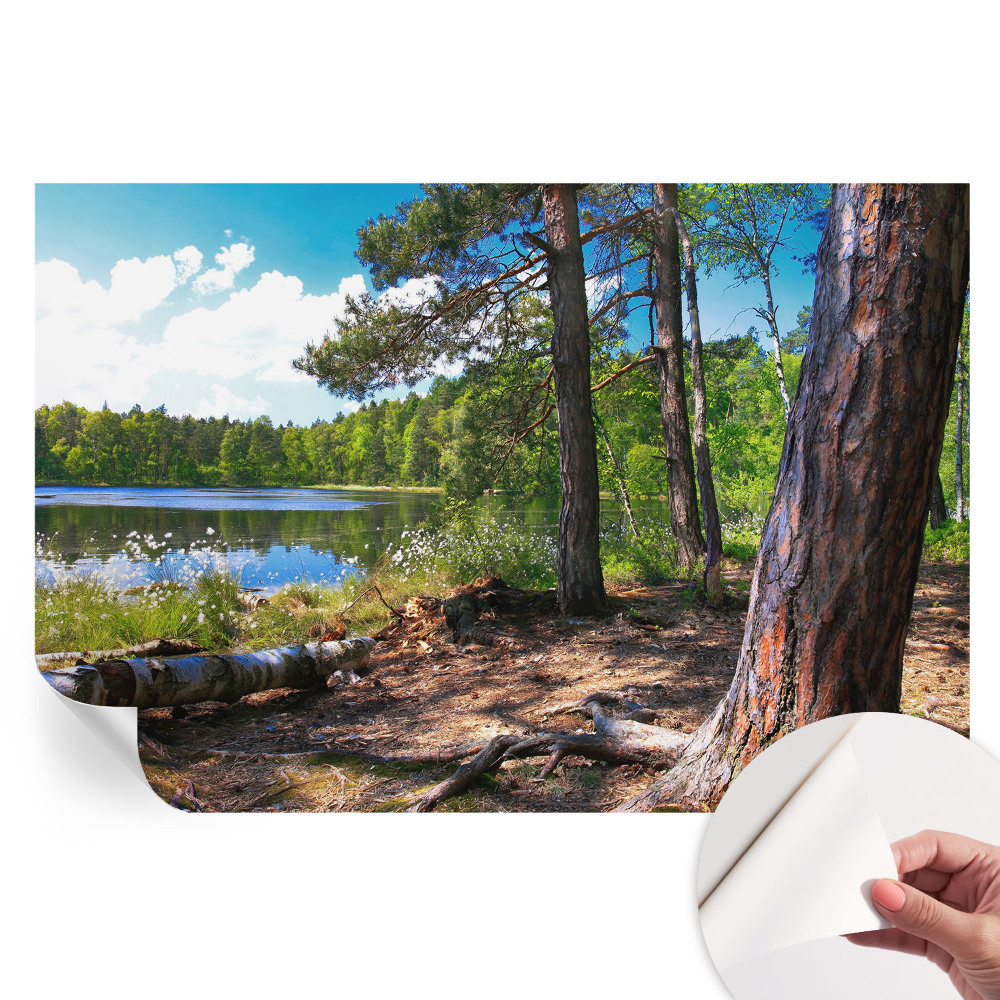 Samolepicí tapeta do obývacího pokoje Lesní krajina