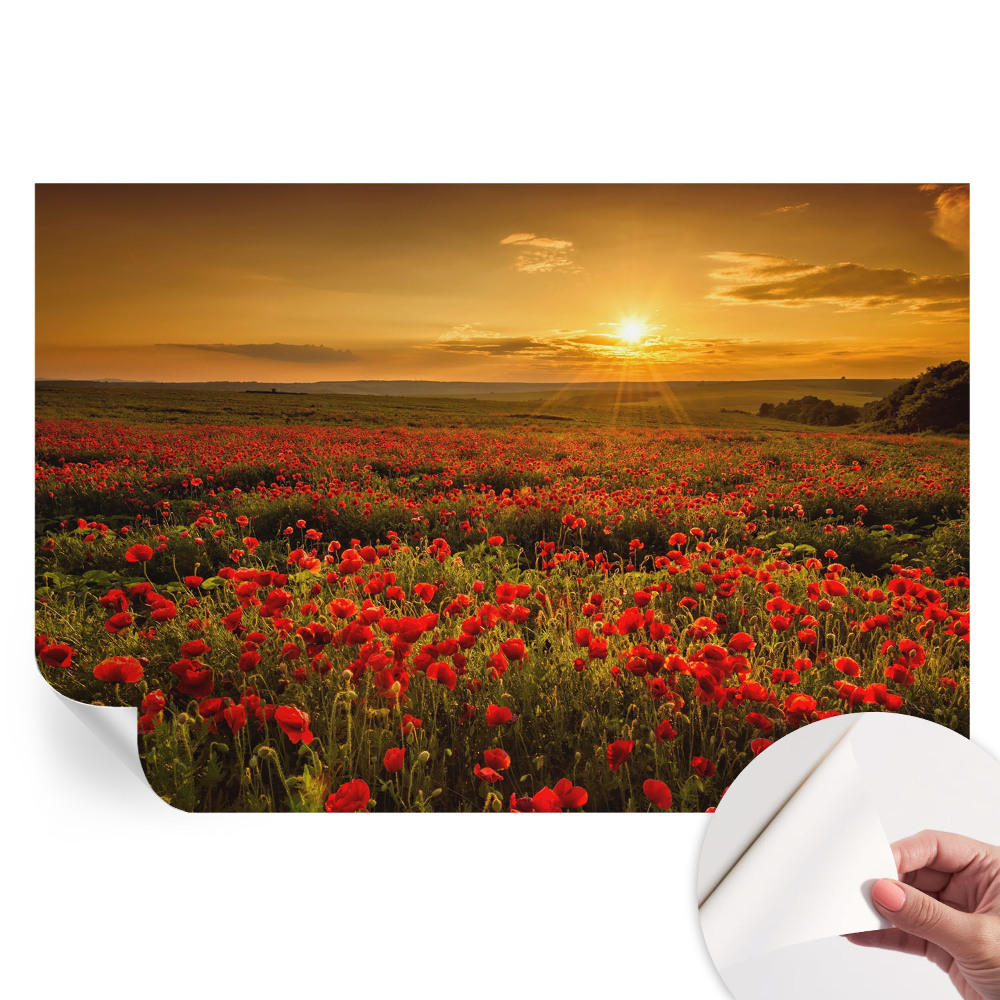 Samolepicí fotografická tapeta Makové pole