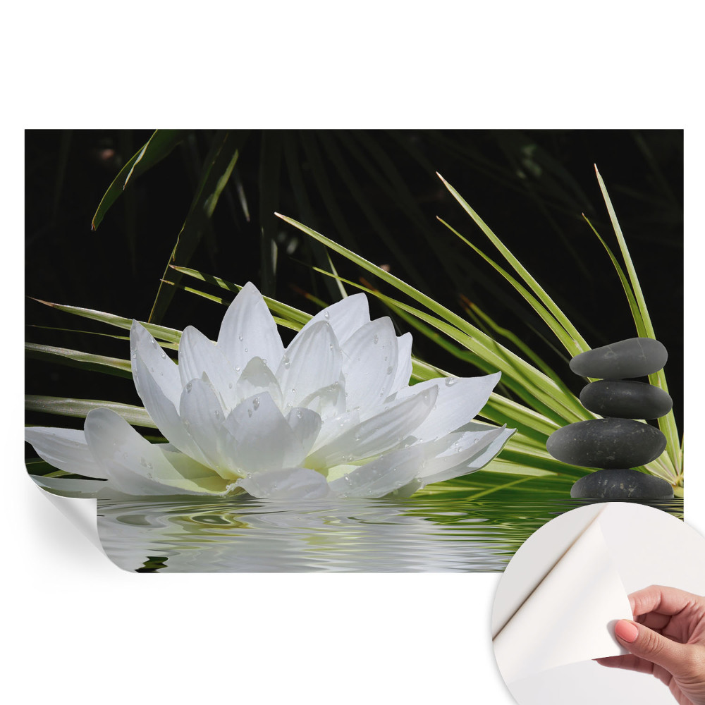 Samolepicí fotografická tapeta Meditace s liliemi