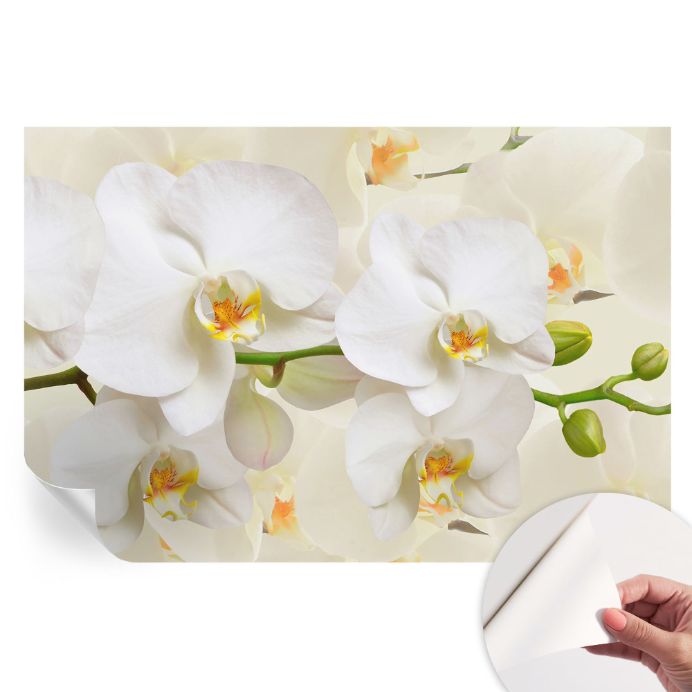 Samolepicí fotografická tapeta Květinové bohatství