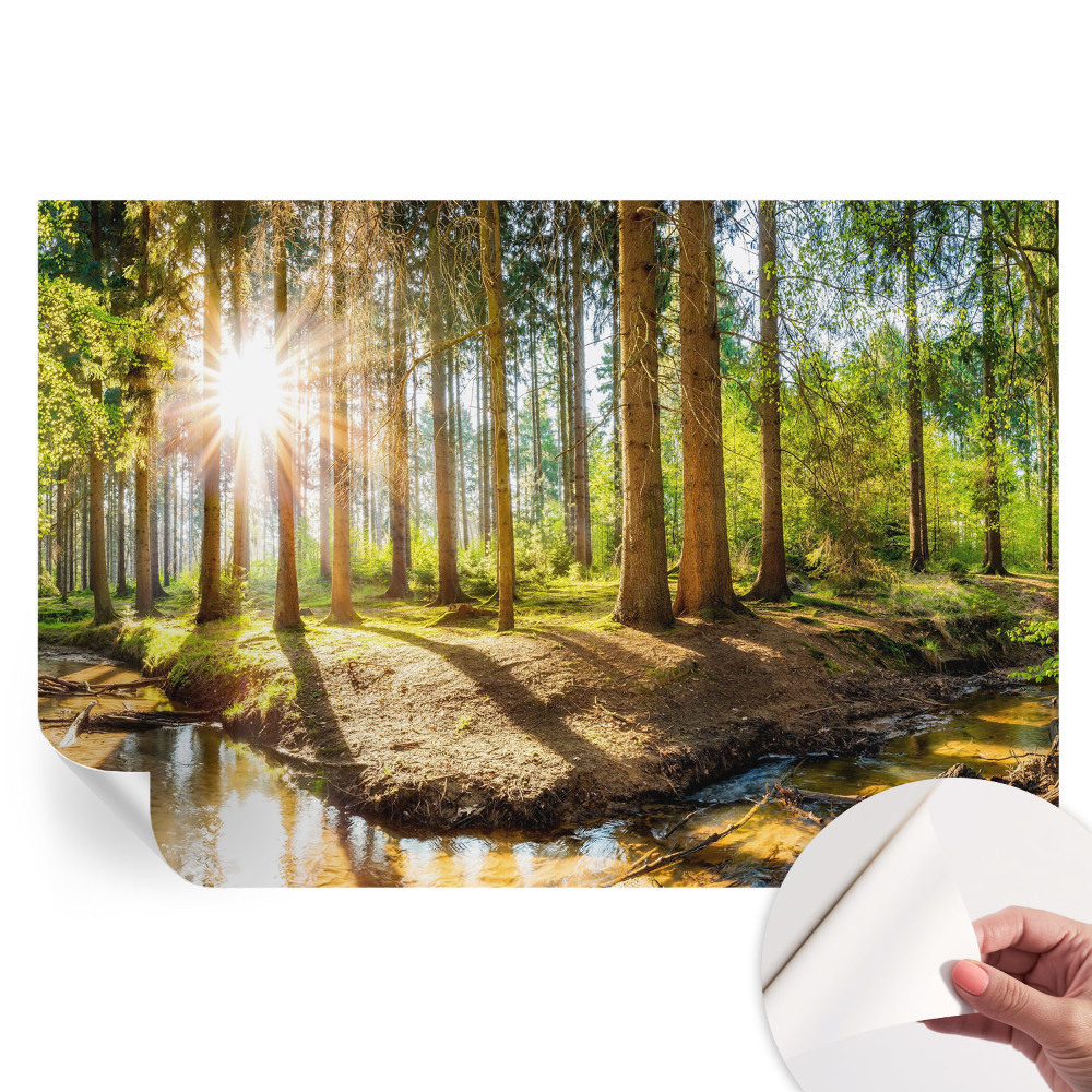 Samolepicí fototapeta do ložnice Lesní idyla