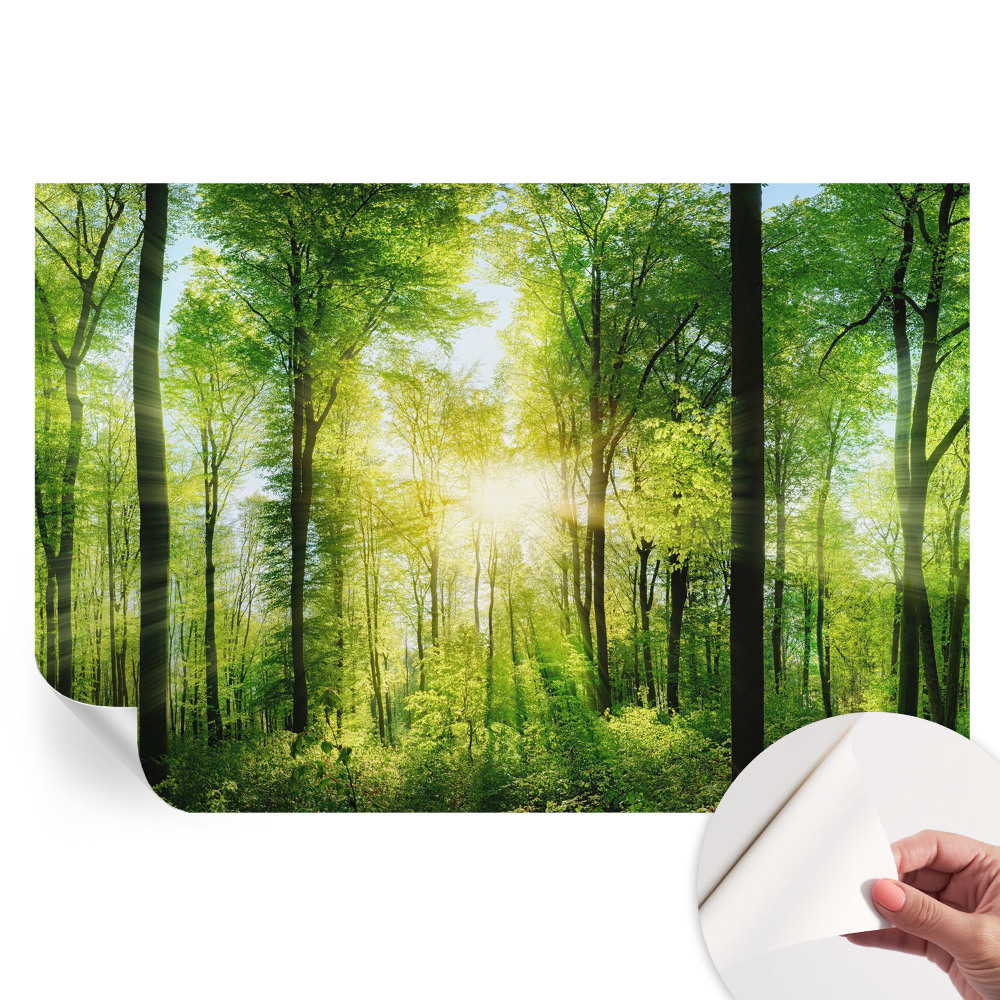 Samolepicí fototapeta Lesní harmonie