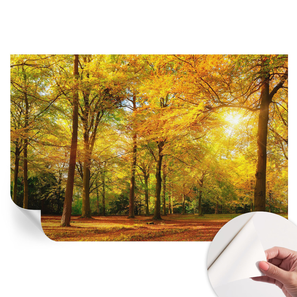 Samolepicí fototapeta do ložnice Zlaté listy