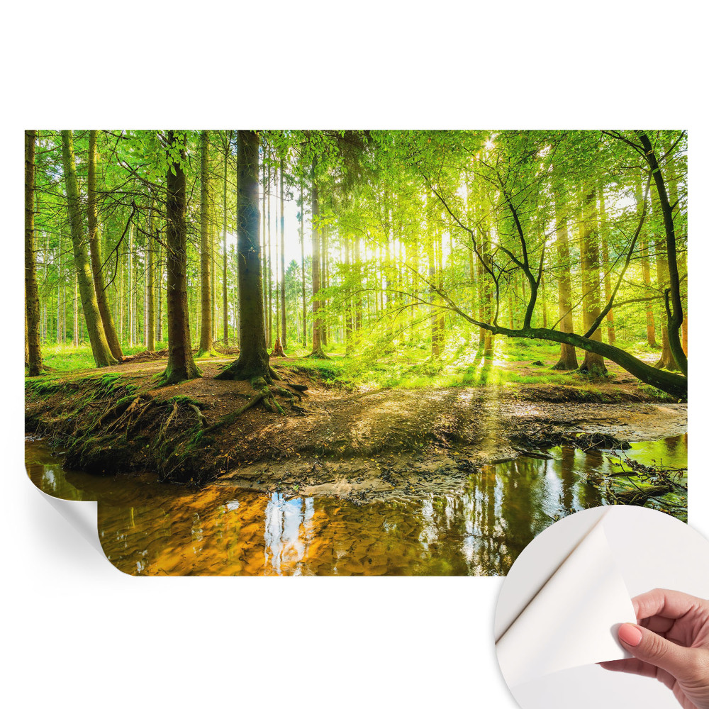 Samolepicí tapeta Zelená krajina do obývacího pokoje