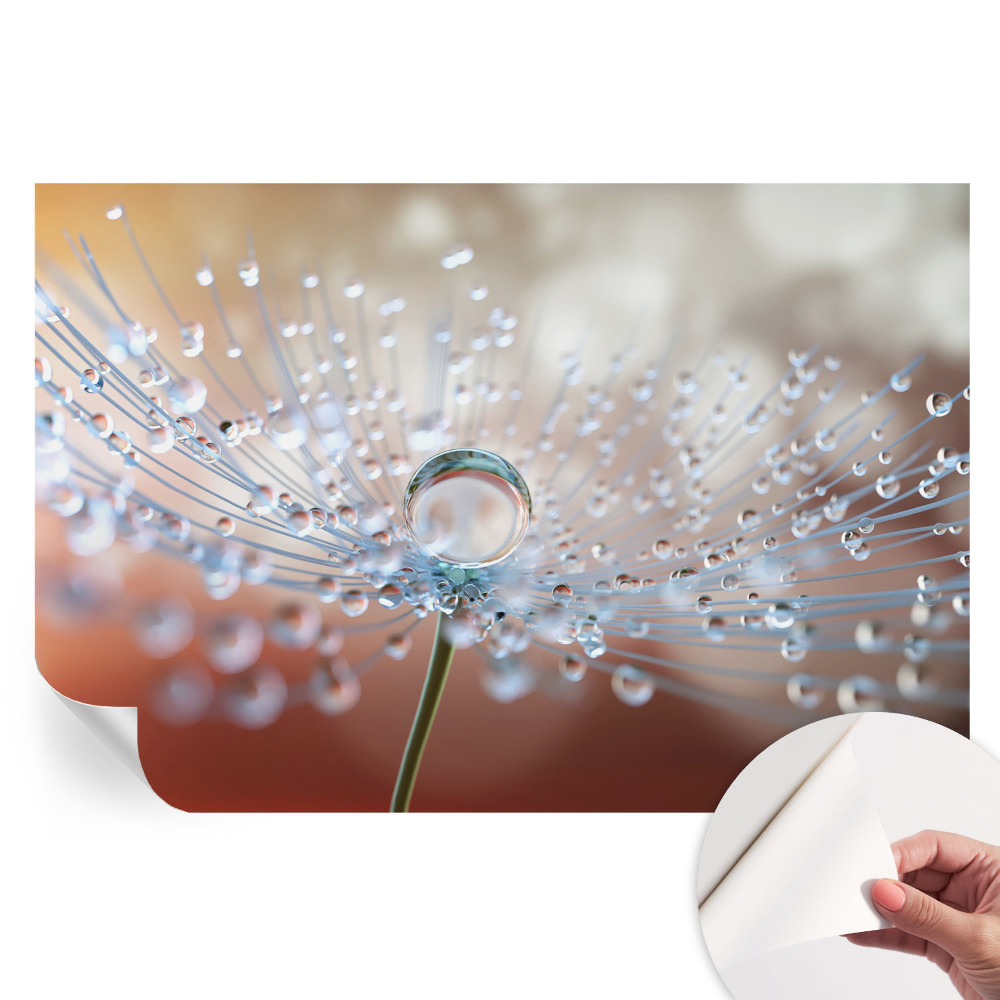 Samolepicí fotografická tapeta Kapka na pampelišku