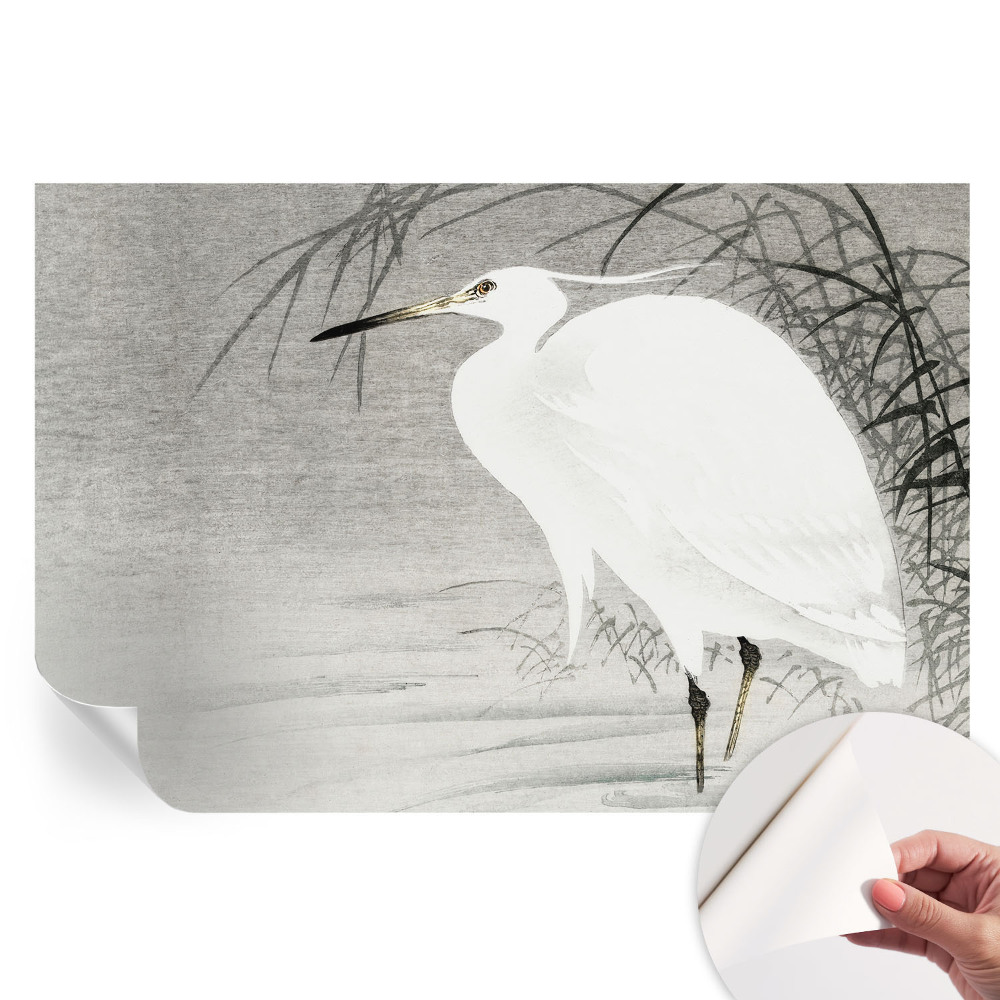 Samolepicí fototapeta Vodní krajina