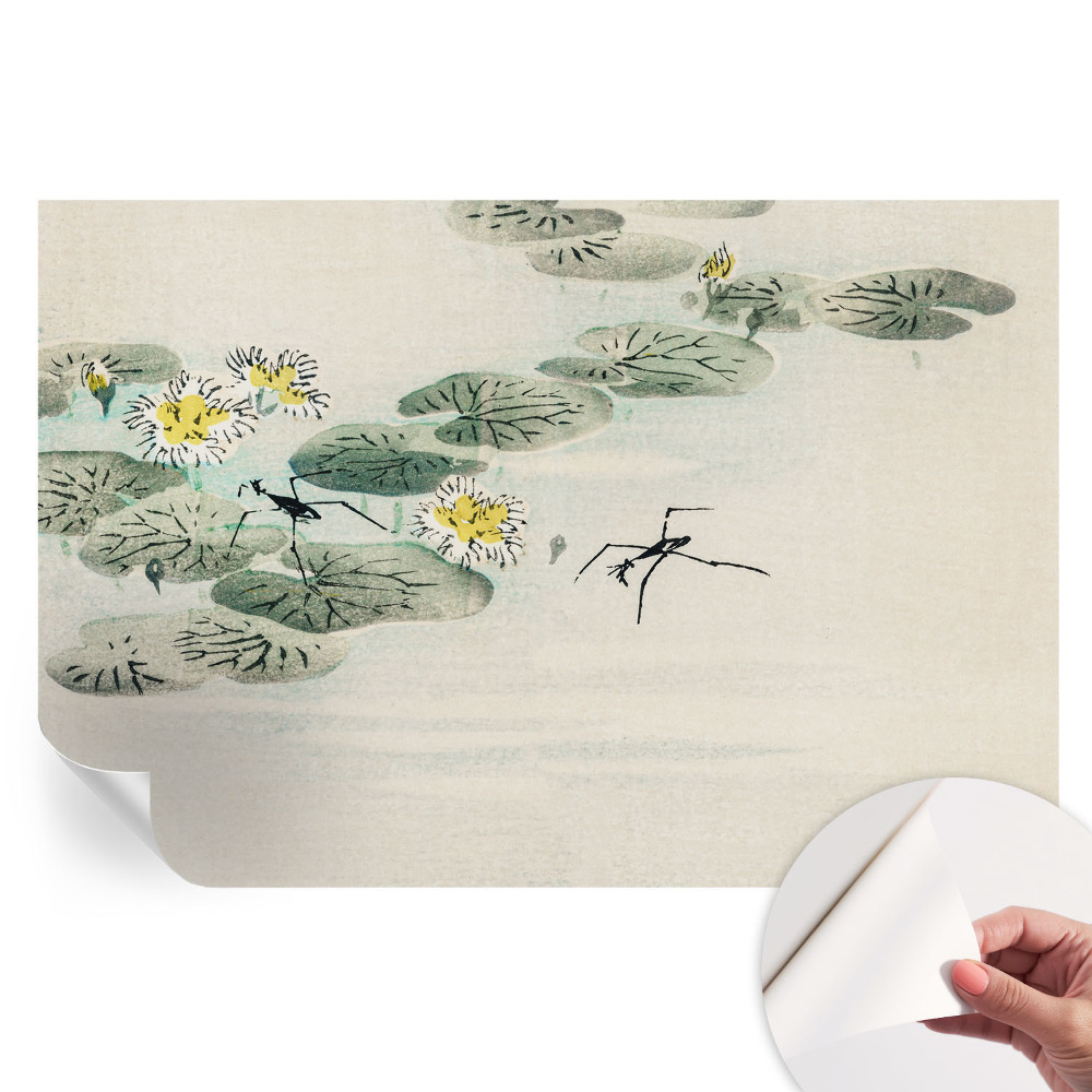 Samolepicí fotografická tapeta Klidná voda