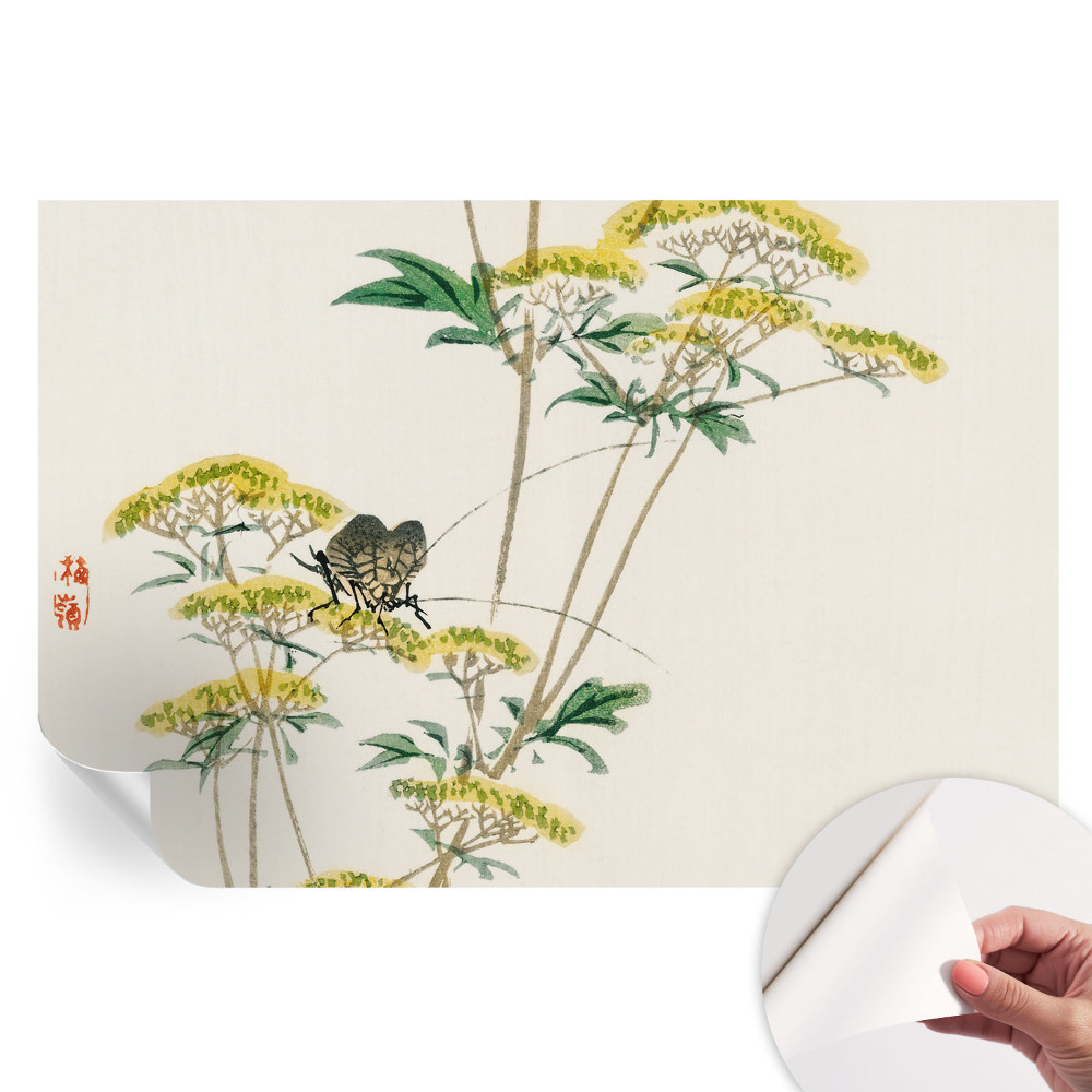 Samolepicí tapeta do obývacího pokoje Květiny přírody