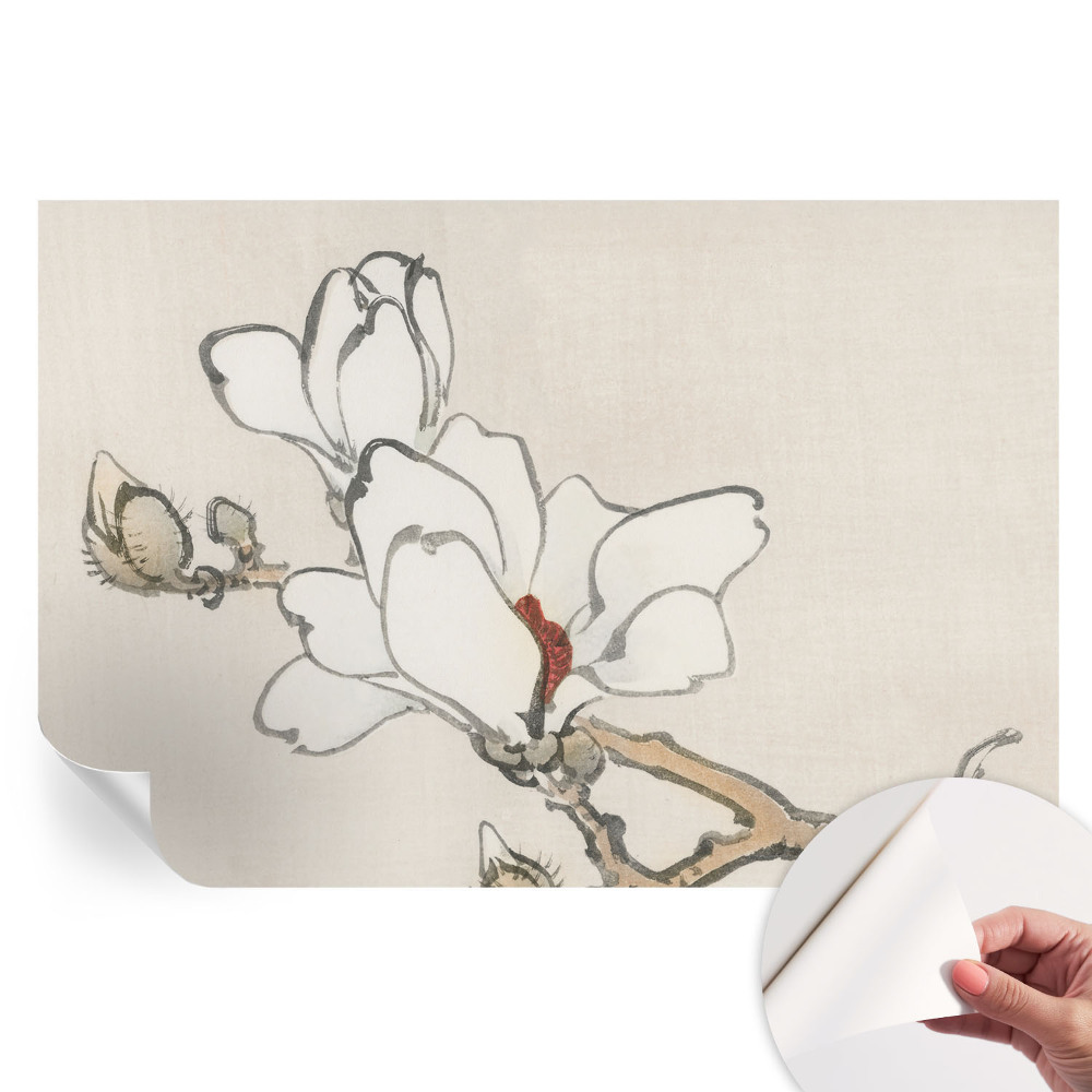 Samolepicí fototapeta Křehké magnólie