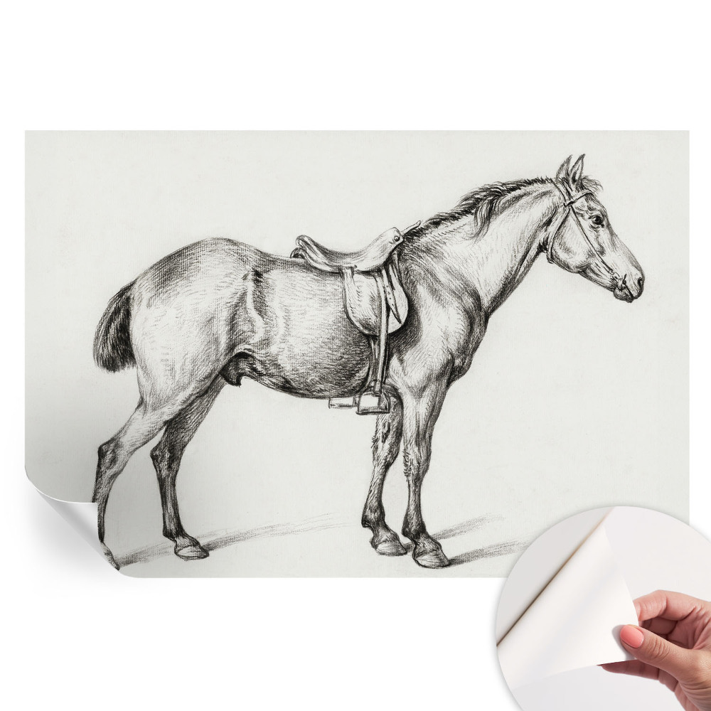 Moderní fototapeta do obývacího pokoje Náčrt koně