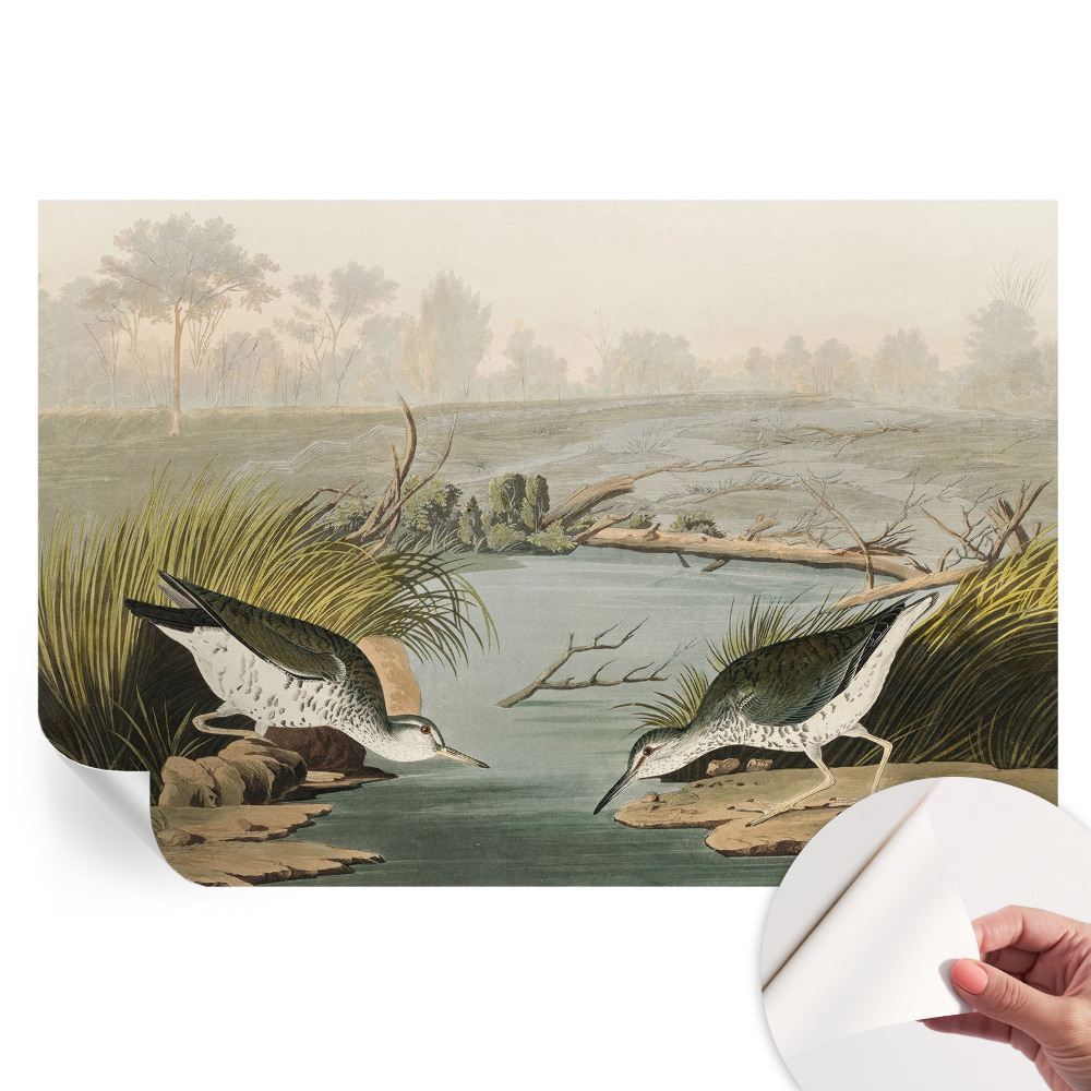 Samolepicí tapeta do obývacího pokoje Klidná krajina