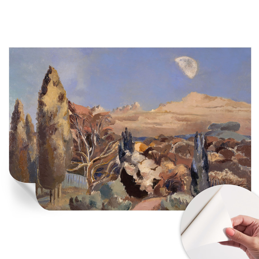 Samolepicí fotografická tapeta Lesní krajina