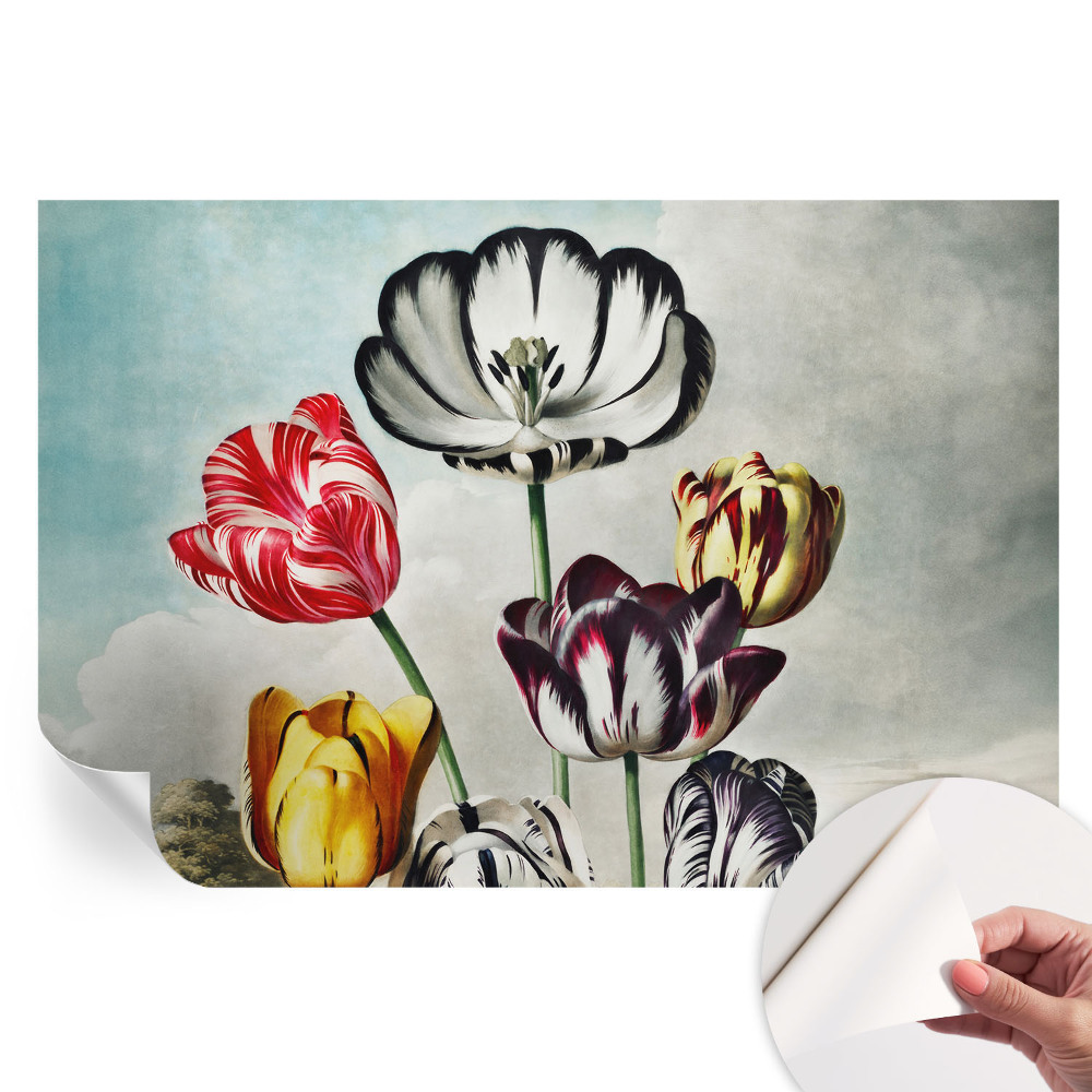 Samolepicí tapeta do obývacího pokoje Barevné tulipány