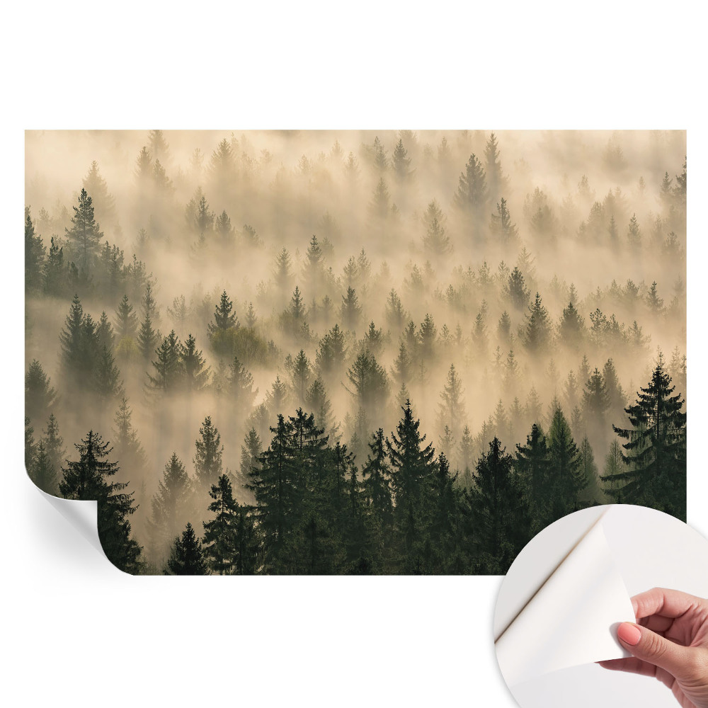 Moderní fototapeta do obývacího pokoje Lesní mlha