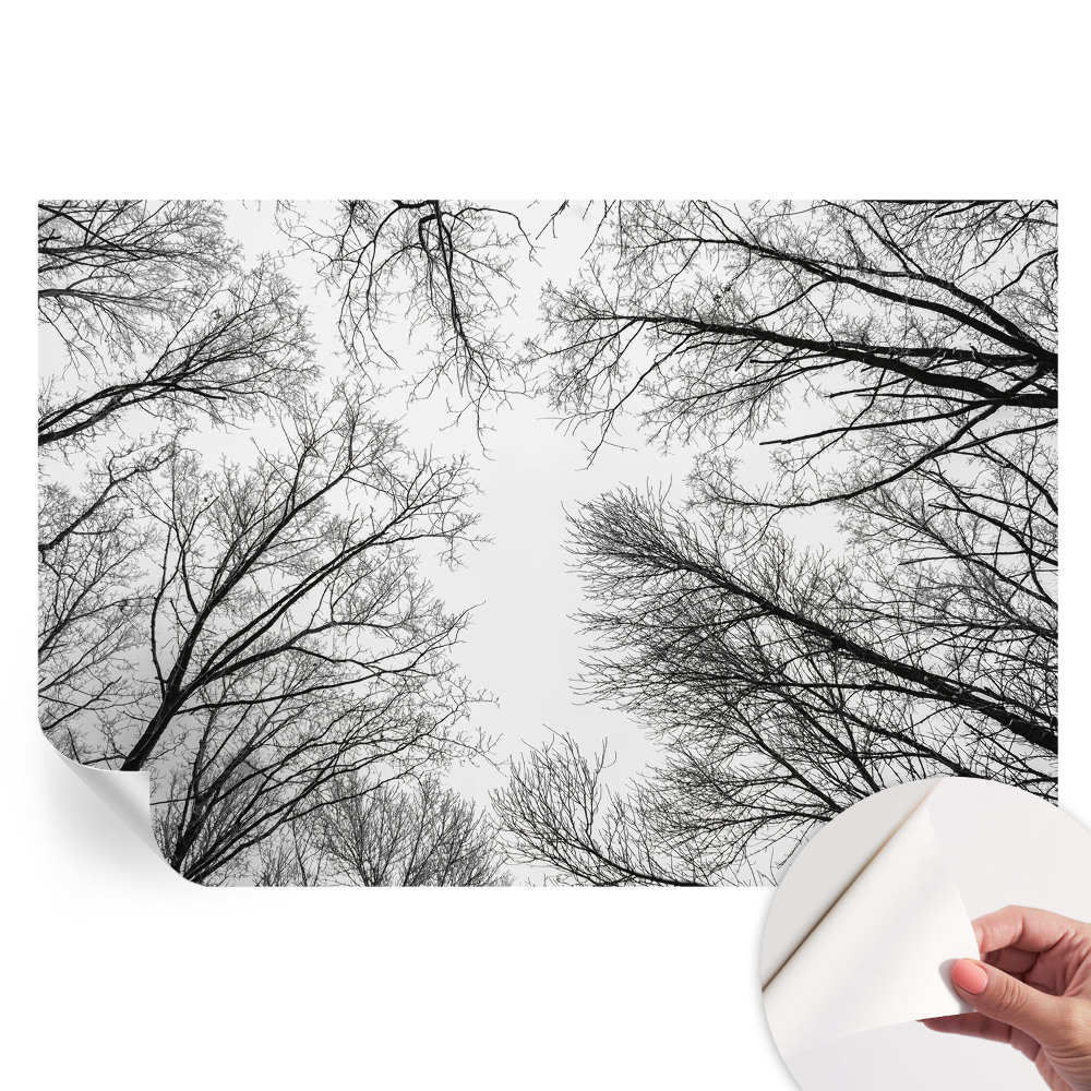 Samolepicí tapeta do obývacího pokoje Holé větve