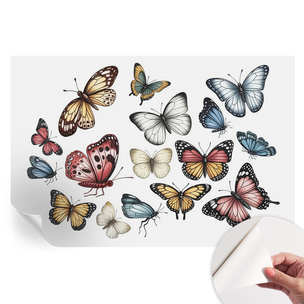 Moderní fototapeta do obývacího pokoje Ráj motýlů
