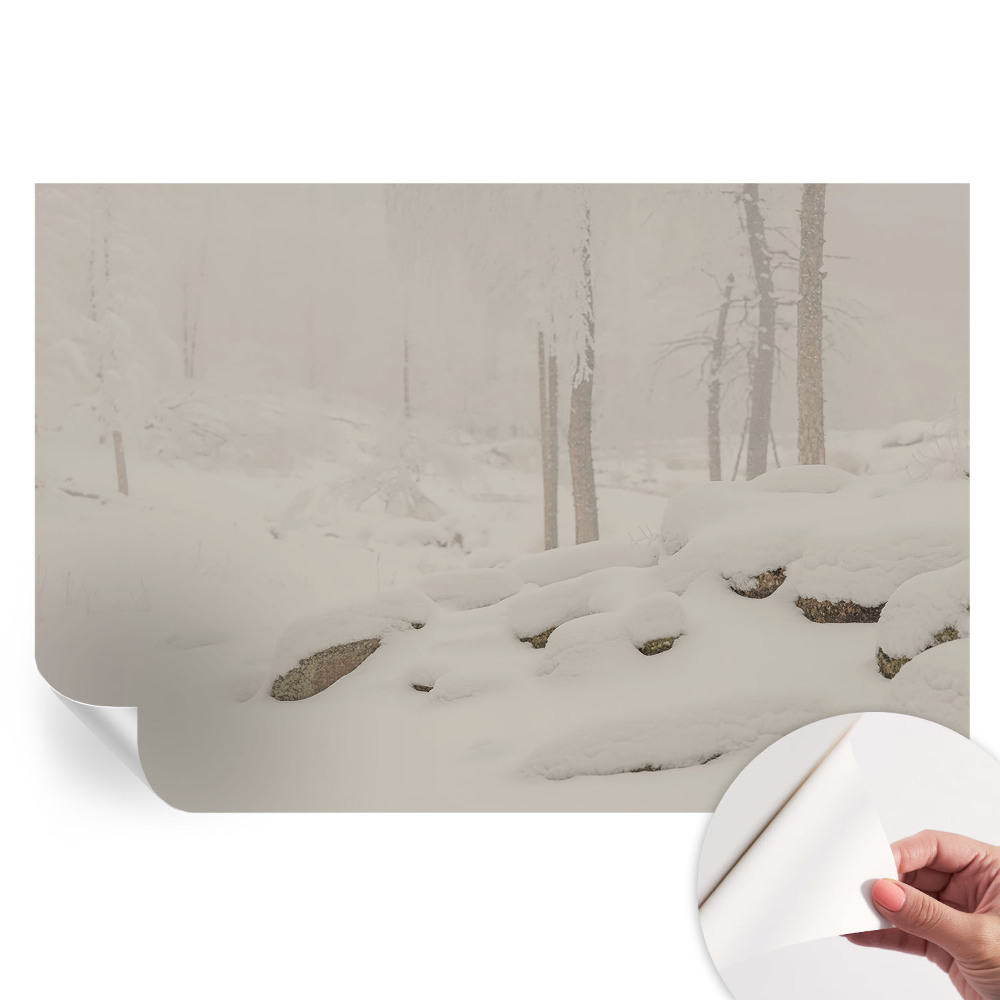 Samolepicí tapeta do obývacího pokoje Zasněžený les