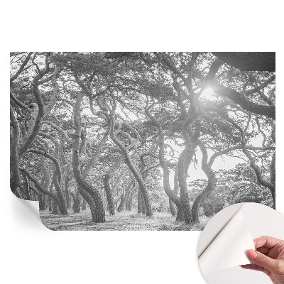 Samolepicí fototapeta Atmosférický les
