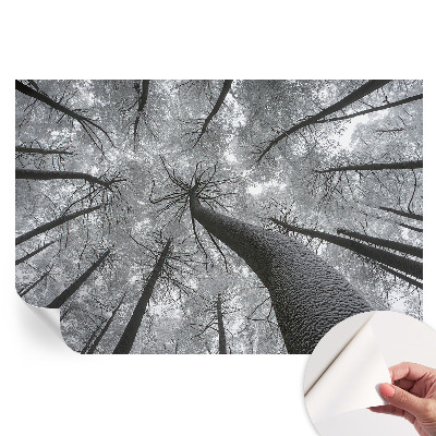 Samolepicí tapeta Zimní krajina do obývacího pokoje