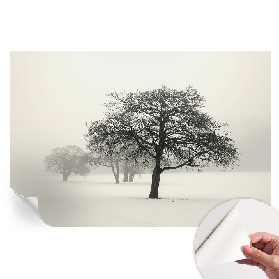 Samolepicí fotografická tapeta Zimní stromy