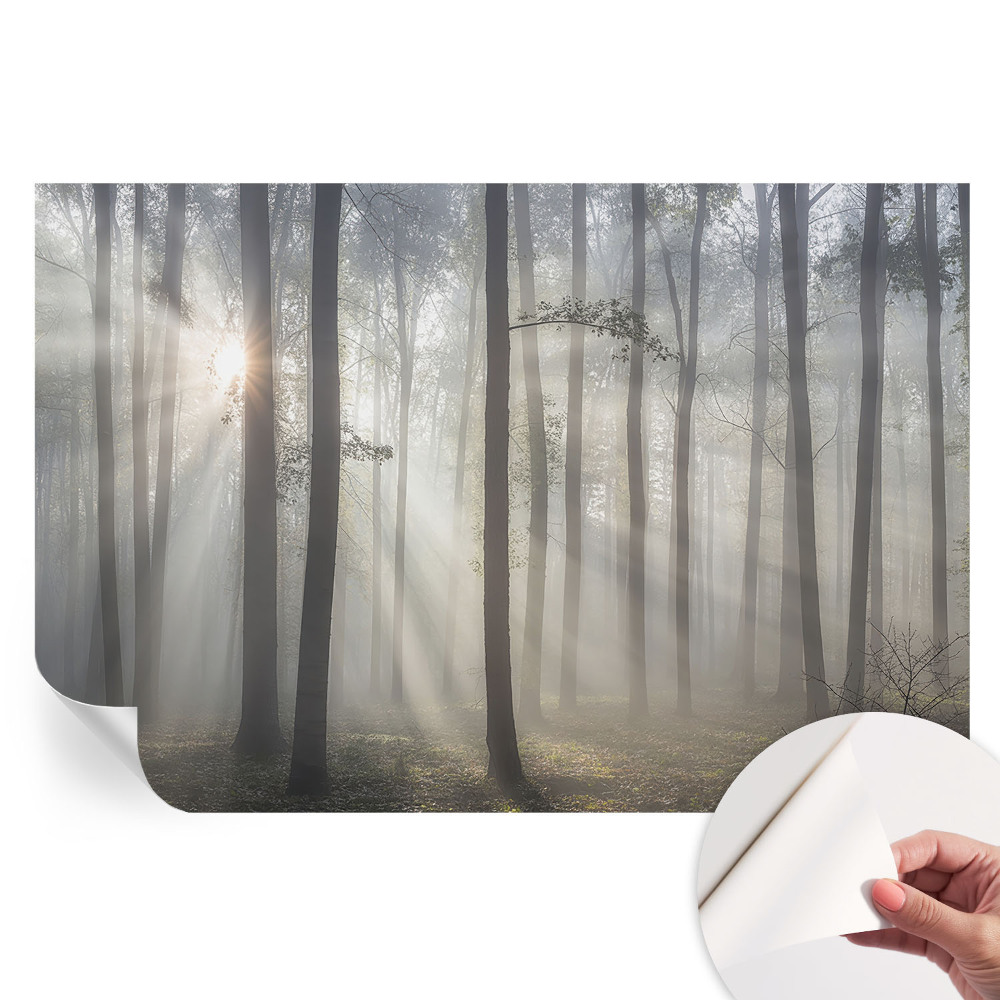 Samolepicí tapeta do obývacího pokoje Éterický les