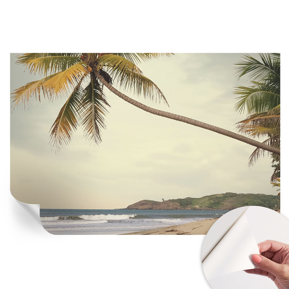 Moderní fototapeta do obývacího pokoje Tropická krajina