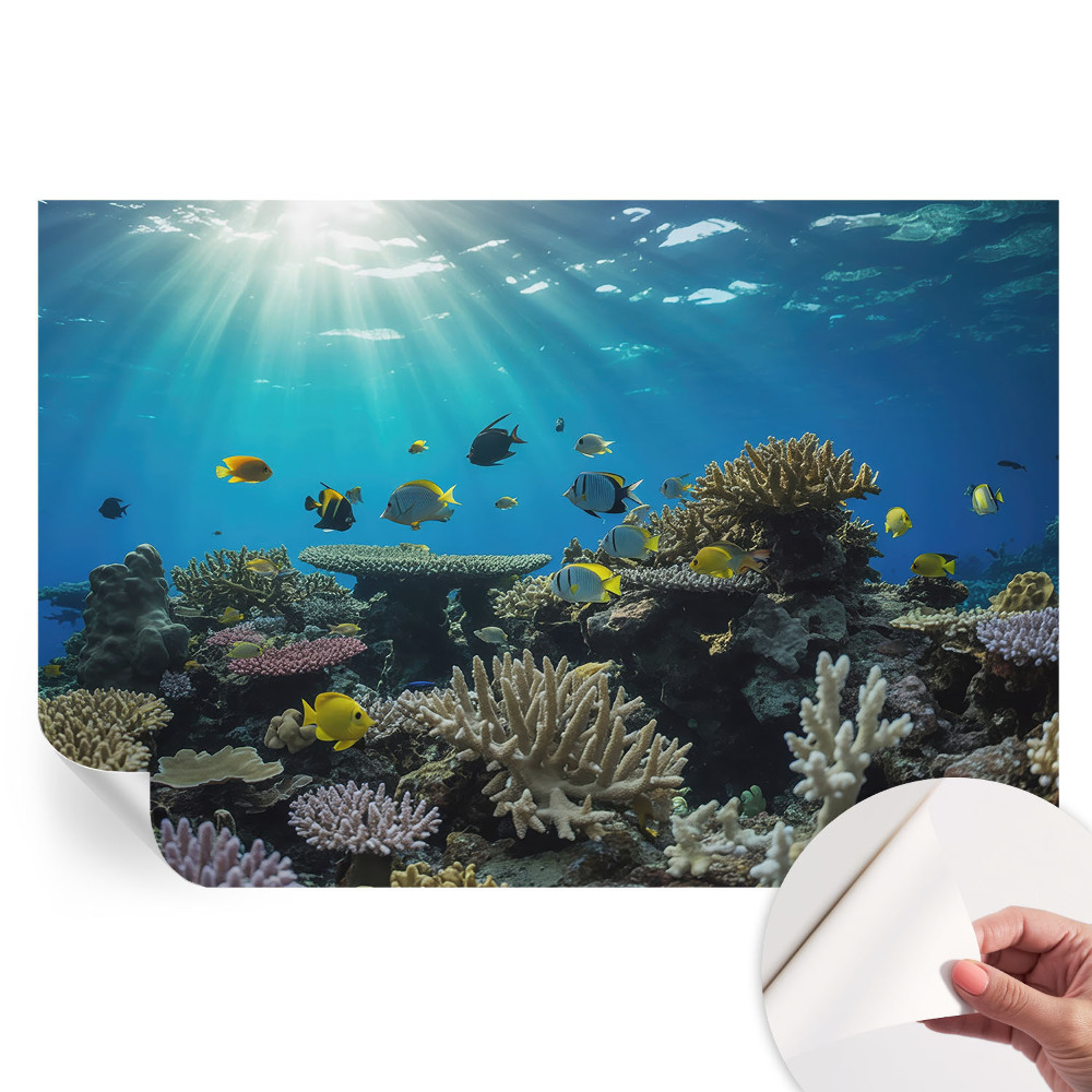 Samolepicí fototapeta Podvodní svět