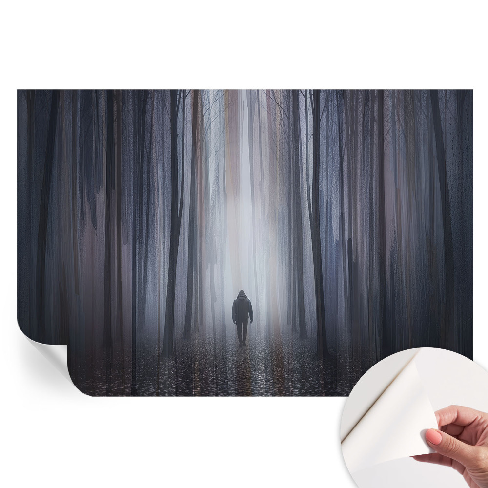 Samolepicí fototapeta Lesní ticho