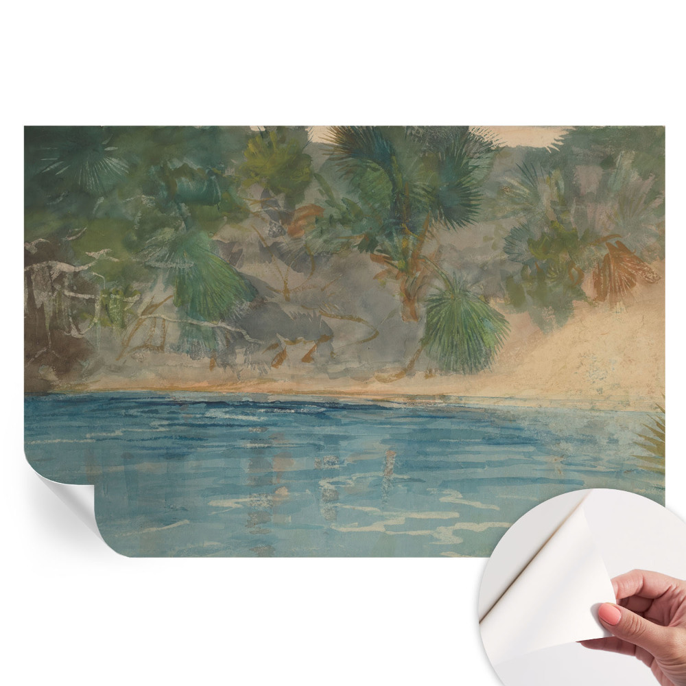 Samolepicí fototapeta do ložnice Tropické pobřeží