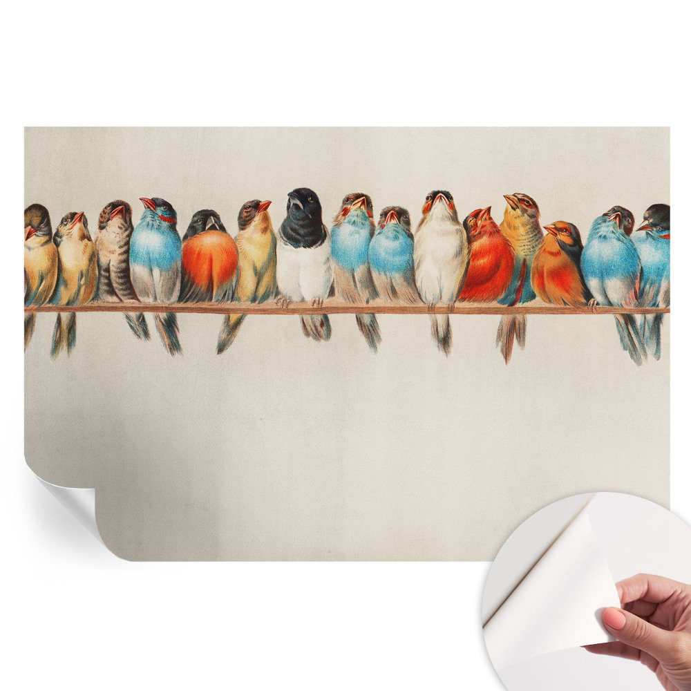 Samolepicí fototapeta do ložnice Ptáci na větvi