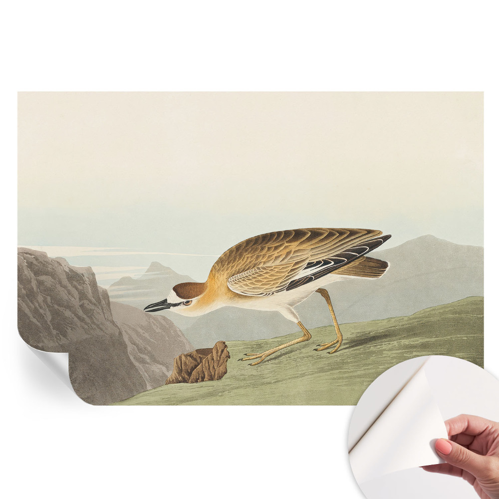 Moderní fototapeta do obývacího pokoje Horský pták