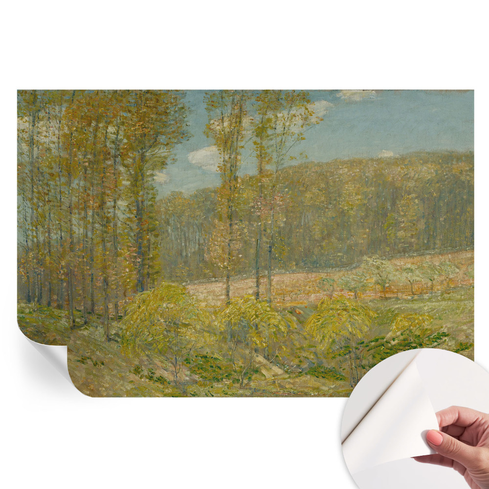 Samolepicí fototapeta Lesní krajina