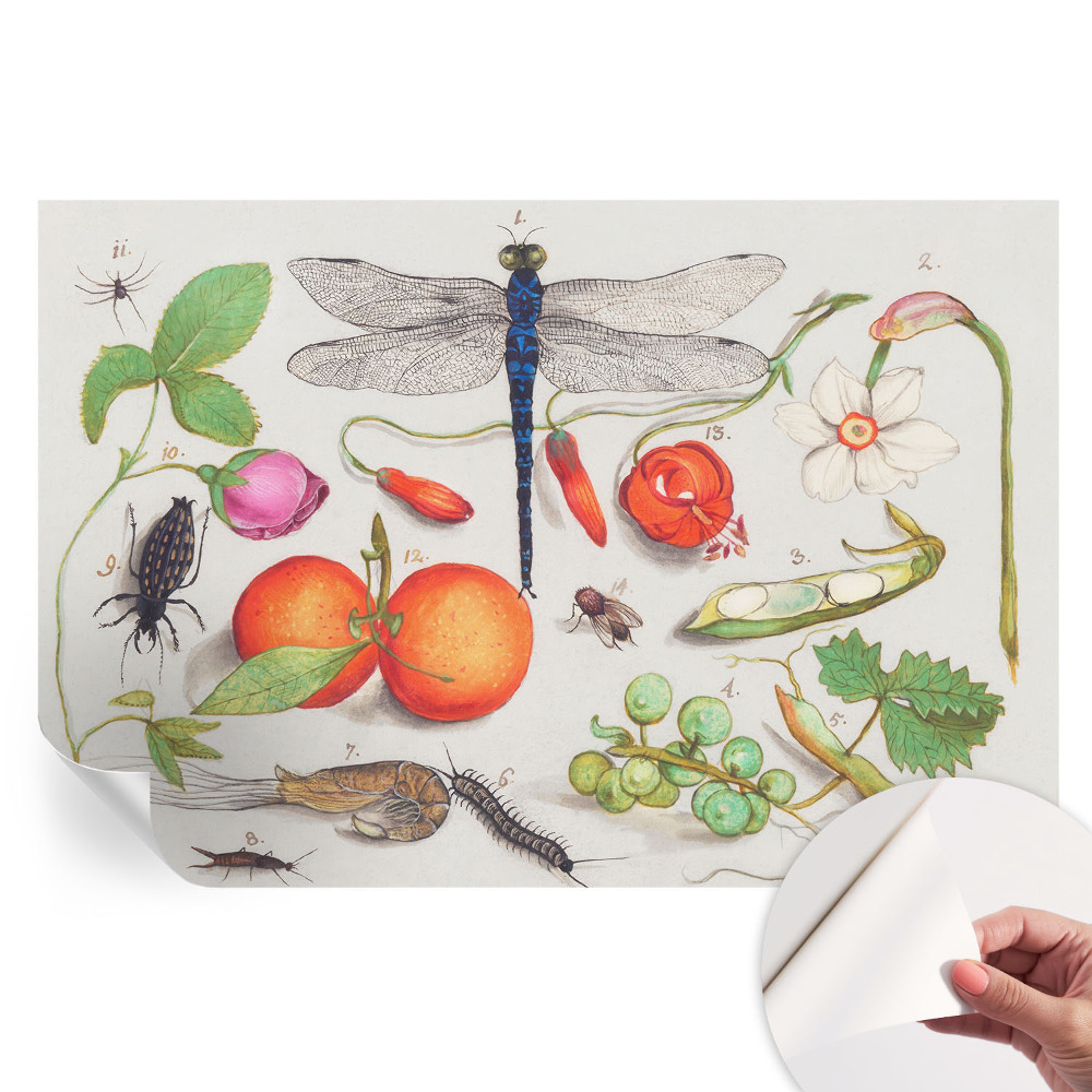 Samolepicí fototapeta do ložnice Ilustrace přírody