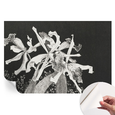 Samolepicí fototapeta s ilustrací orchideje