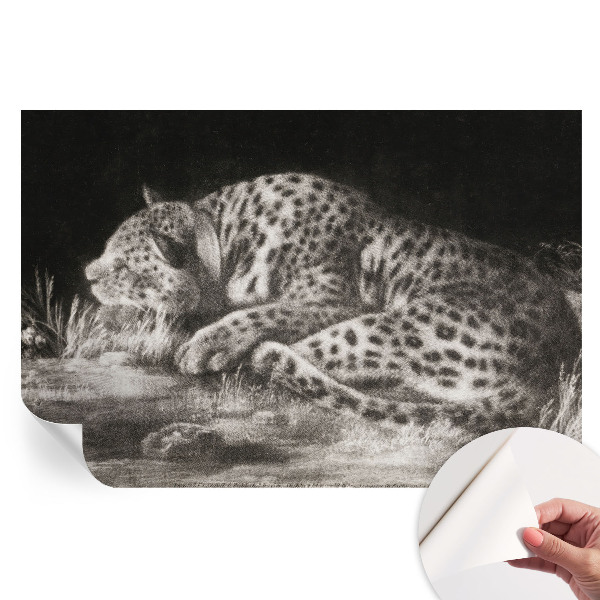 Samolepicí fototapeta do ložnice s motivem odpočívajícího leoparda