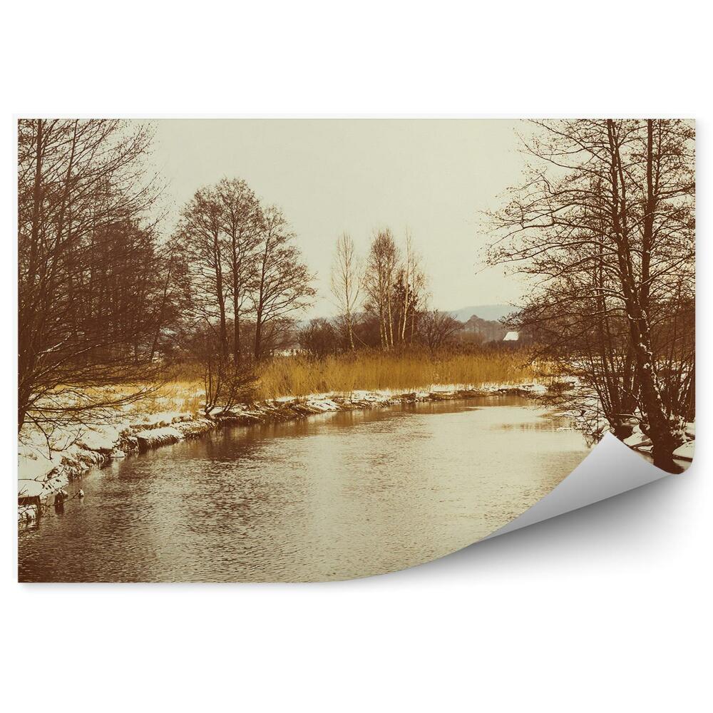 Fototapeta na zeď Zimní krajina jezero stromy