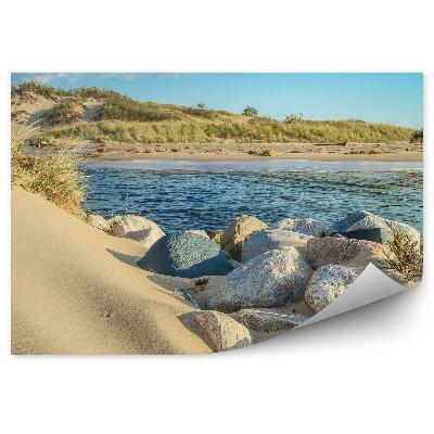 Fototapeta Duny pláž tráva