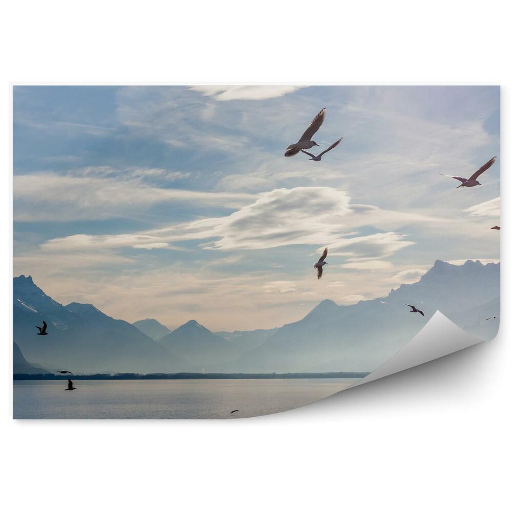 Fototapeta na zeď Alpy Ženevské jezero obloha mraky ptáci