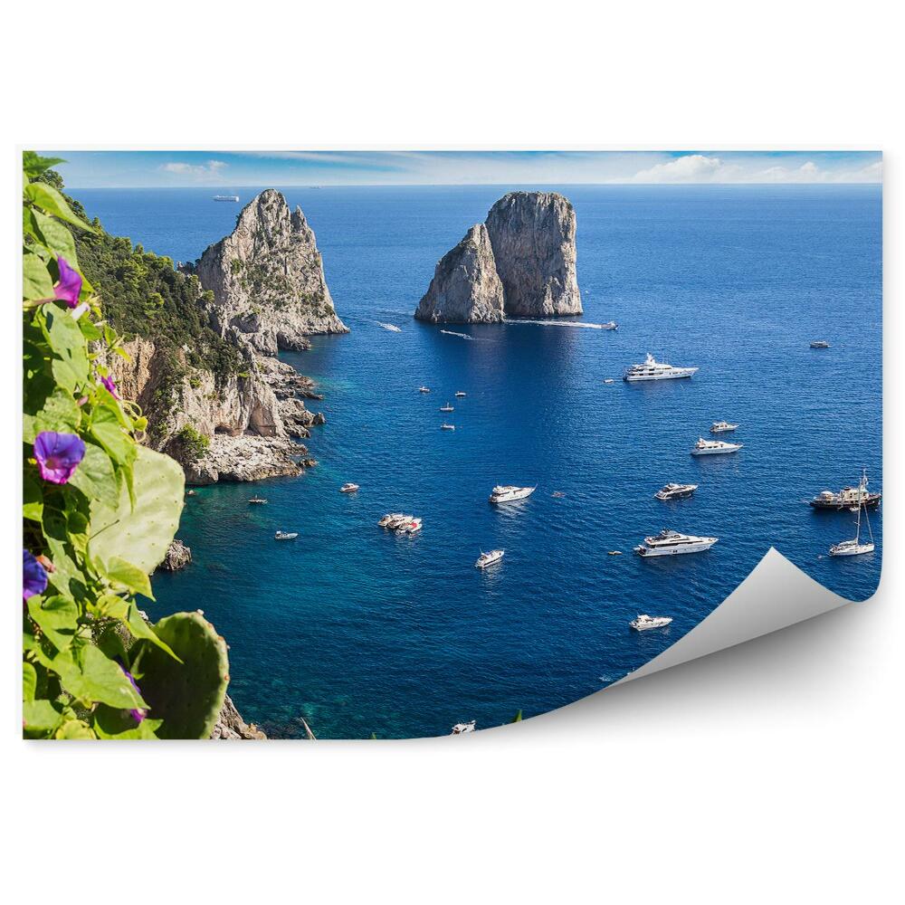 Fototapeta Itálie ostrov květiny lodě skály