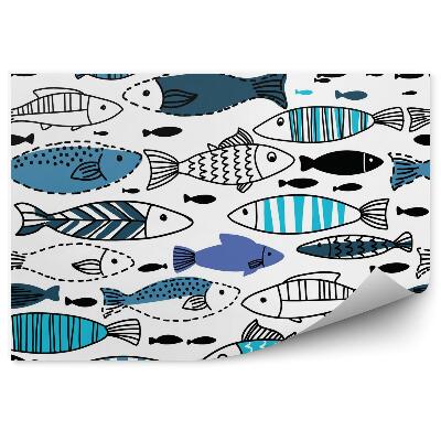 Fototapeta na zeď Podvodní svět ryb