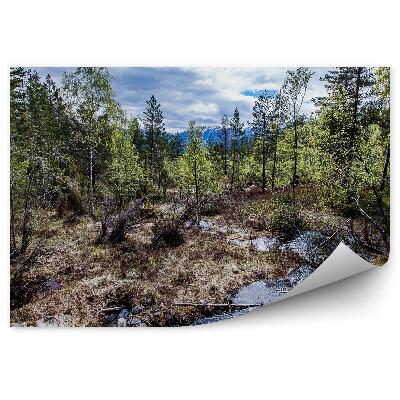 Samolepící fototapeta Příroda les potok hory