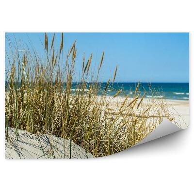 Samolepící fototapeta Červené duny Namibie Afrika měsíc