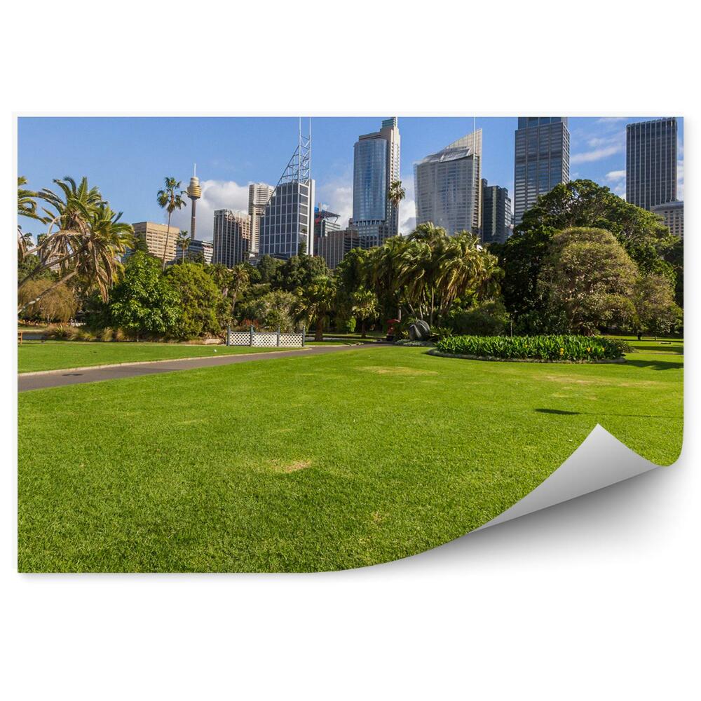 Samolepící fototapeta Sydney park zelené palmy architektura