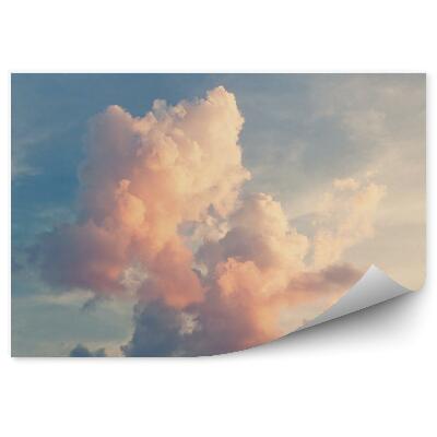 Fototapeta Růžové mraky na modré obloze