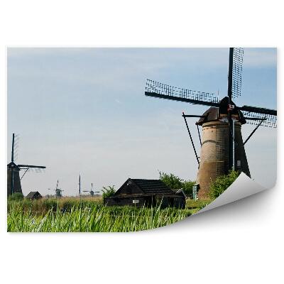 Fototapeta na zeď Zelená tráva tradiční vesnice s větrnými mlýny