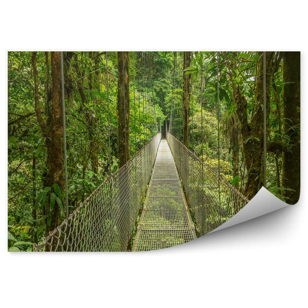 Fototapeta Visutý most s ochranou v hustém lese